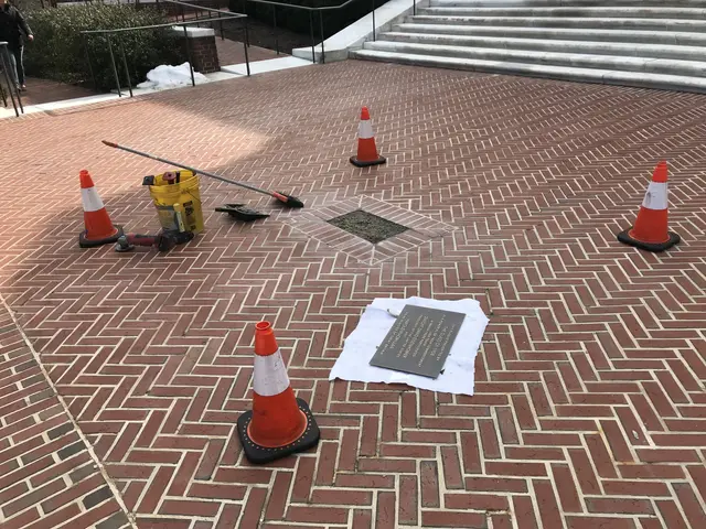 The image shows a brick walkway with traffic cones and a sign on it, surrounded by plants,...