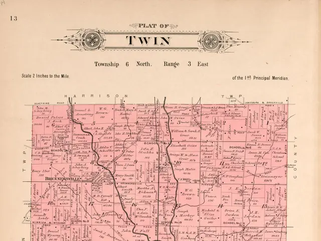 The image shows an old map of the town of Twin, Minnesota, with text at the top and bottom of the...