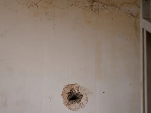 The image shows a wall with a hole in it, and to the right side of the image there is a door. The...