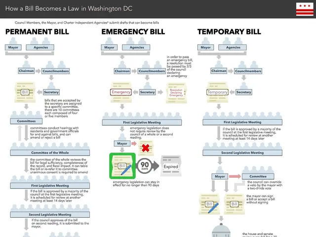 The image shows a flowchart depicting how a bill becomes a law in Washington DC. It is a poster...