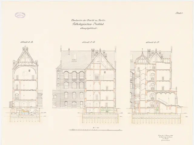 The image shows a drawing of a building with a lot of windows, which is the plan of the Charles II...
