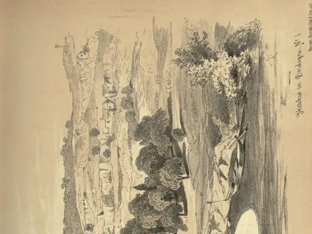 The image shows a drawing of a river with trees in the middle of it, surrounded by hills and...