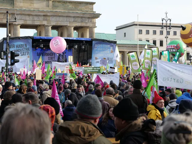 The image shows a large crowd of people standing in front of the Brandenburg Gate in Berlin,...