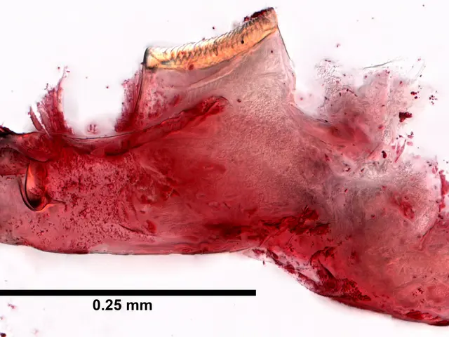 In this image we can see a blood sample. At the bottom of the image there is some text.