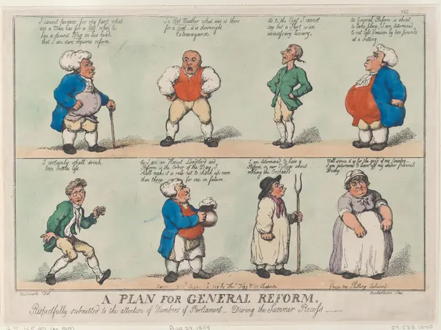 The image shows a paper with a cartoon depicting a plan for general reform. The cartoon is composed...