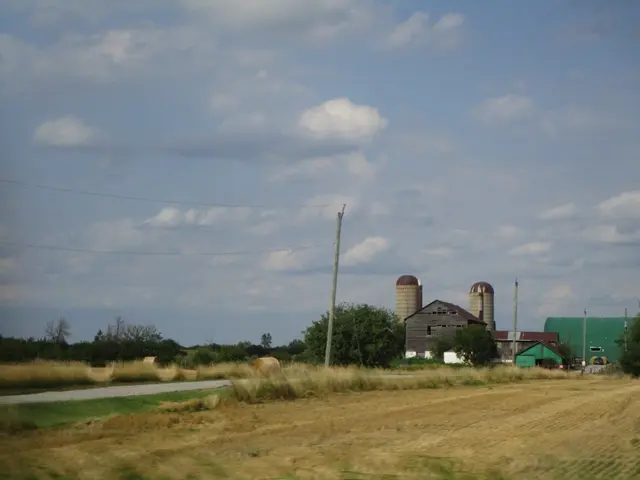 The image shows a farm with a large silo in the middle of a field surrounded by grass, plants,...