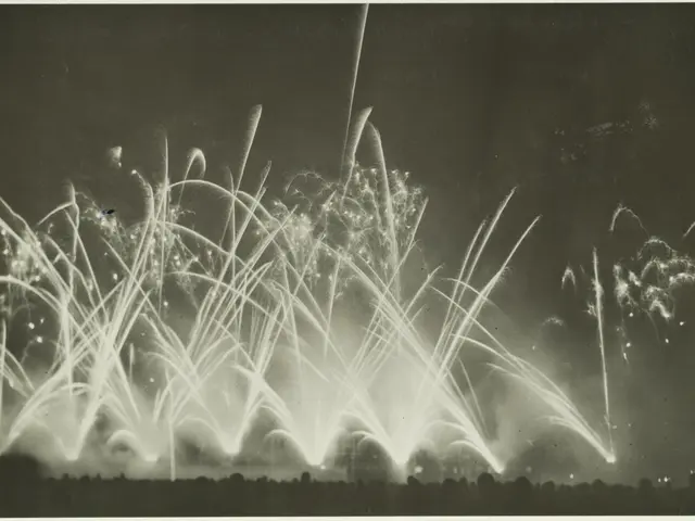 The image shows a black and white photo of fireworks exploding in the night sky, with a few people...