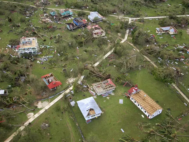 The image shows an aerial view of a devastated neighborhood in the Philippines, with trees, grass,...