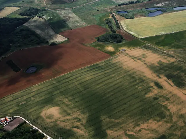 The image shows an aerial view of a farm in the middle of a field, surrounded by lush green grass,...