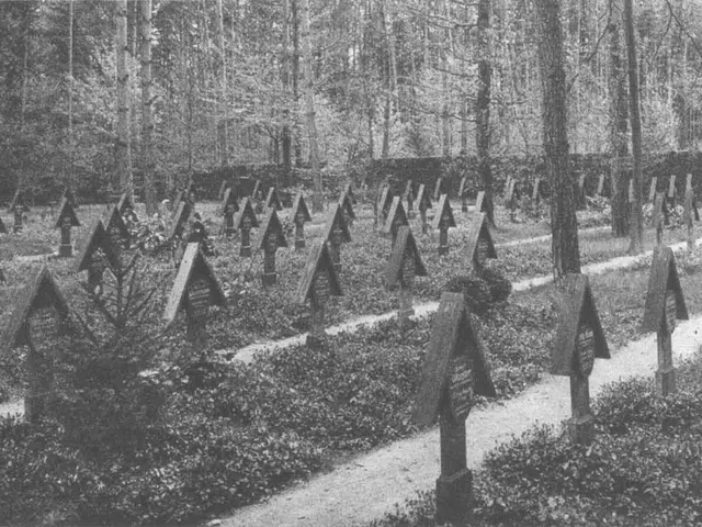 The image shows a black and white photo of a cemetery in the woods, with many tombstones and trees...