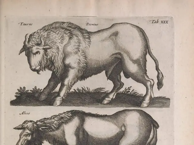 The image shows an old book with three different types of animals on it, including a horse, a...