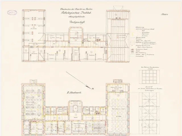 The image shows a drawing of a floor plan of a building with a lot of rooms, which is believed to...