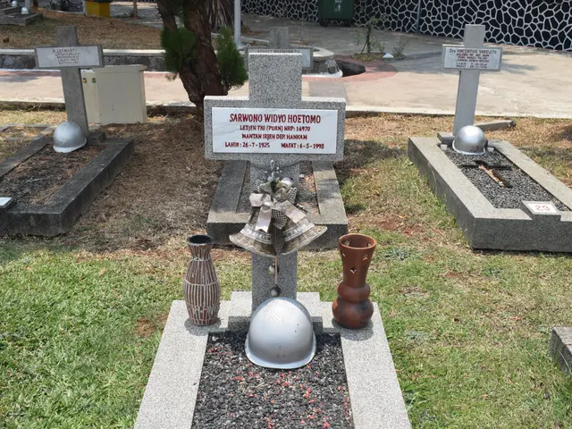 The image shows a cemetery with several graves, each with a helmet placed on top of them. There are...
