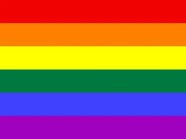 The image shows a rainbow flag, which is composed of seven equal horizontal stripes of red, orange,...