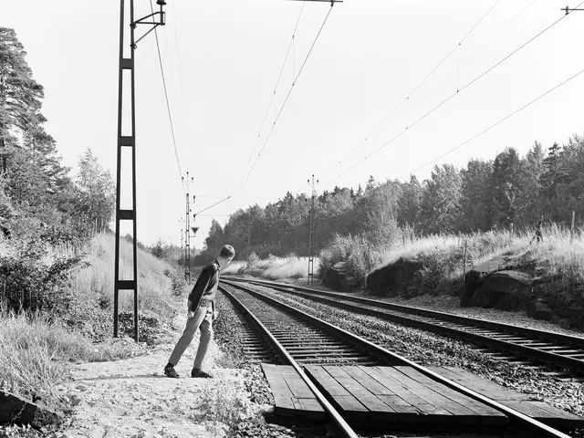 The image shows a man walking down a train track surrounded by stones, grass, plants, a group of...