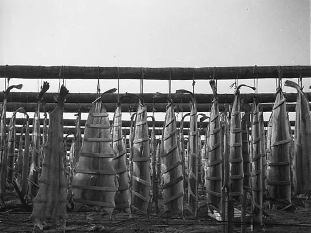 The image shows a black and white photo of a fish market, with wooden boxes at the bottom and a...