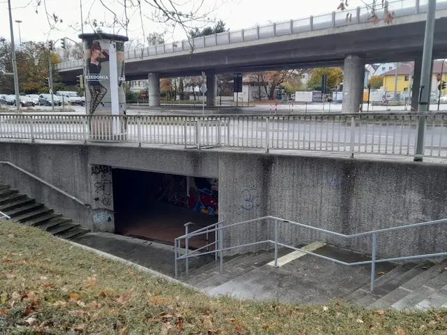The image shows a bridge with railings, steps, grass, dried leaves on the ground, vehicles on the...