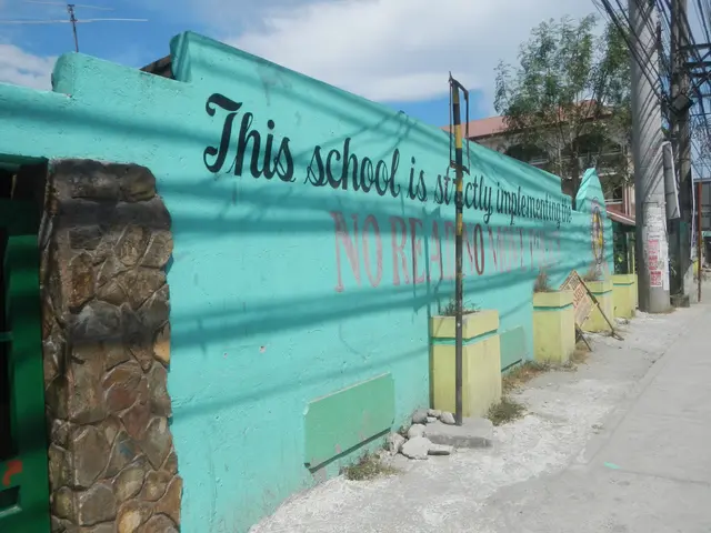 The image shows a green wall with graffiti on it that reads "This school is not a city" surrounded...