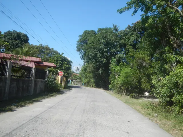 The image shows a road with a fence on the left side and trees on both sides. In the background,...