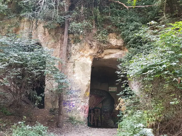 The image shows a tunnel in the middle of a forest with graffiti on it, surrounded by trees and...