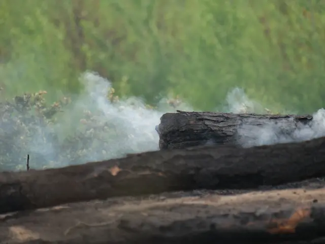 The image shows a fire burning in the middle of a forest with smoke billowing out of it, surrounded...