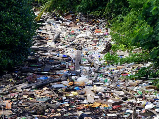 The image shows a large pile of trash on the side of a road, surrounded by trees on either side....