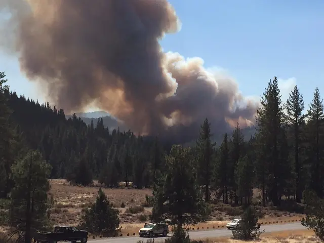The image shows a large plume of smoke rising over a forest, with vehicles on the road in the...