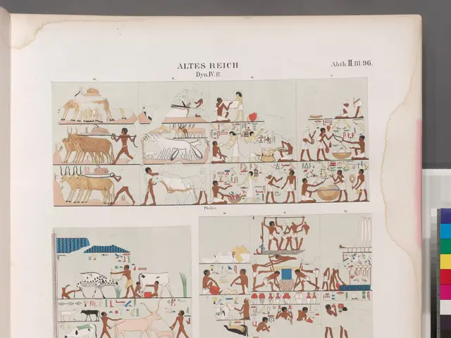 The image shows an open book with a variety of Egyptian hieroglyphics on it, placed on a surface....