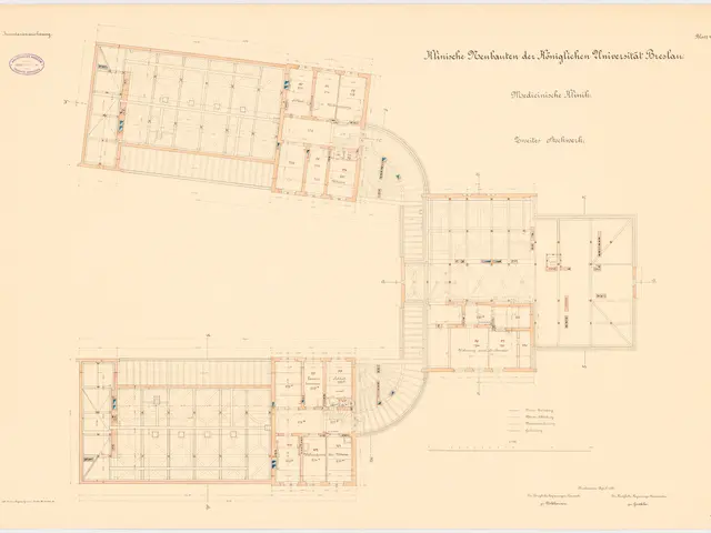 The image shows a drawing of a floor plan of a building with a lot of rooms, which is believed to...