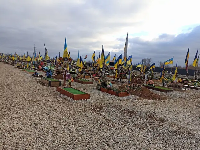 The image shows a large group of Ukrainian flags sitting on top of a gravel field, with flower...