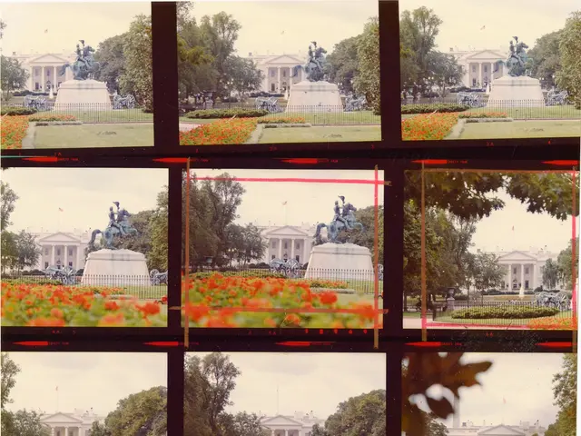 The image shows a collage of photos of the White House in Washington, DC, with trees, buildings,...