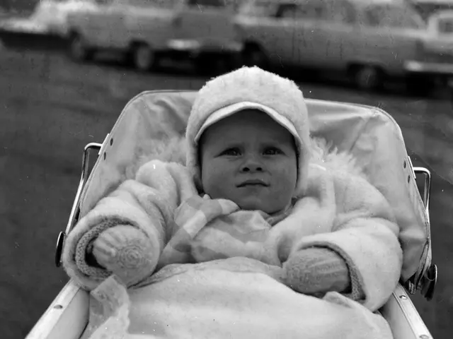 The image shows a black and white photo of a baby in a stroller, with a blanket draped over them...