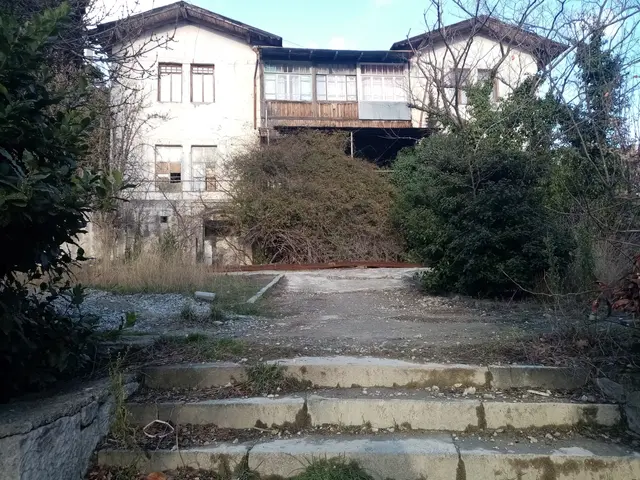 The image shows an old abandoned house in the middle of a forest, with stairs leading up to it. The...
