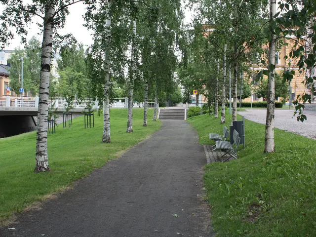 The image shows a park with a path lined with trees and benches, grass on the ground, a bridge with...