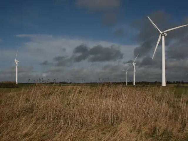 The image shows a field of wind turbines in the middle of a grassy field, with trees in the...