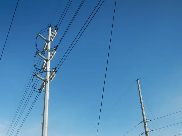The image shows a power line running along the side of a road next to a body of water, with...