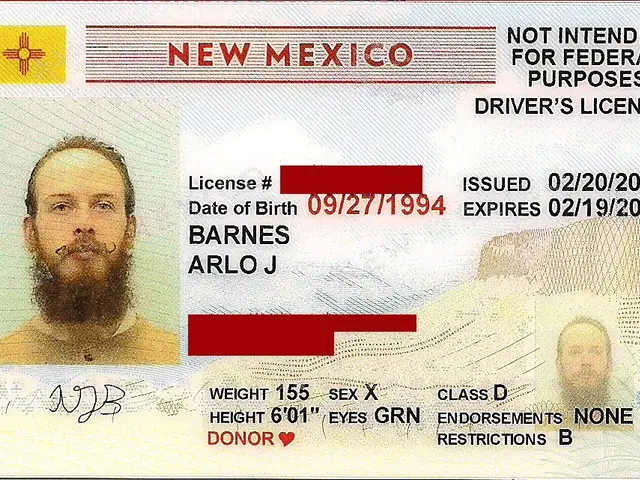 The image shows a New Mexico driver's license with a picture of a man's face, text, and numbers.